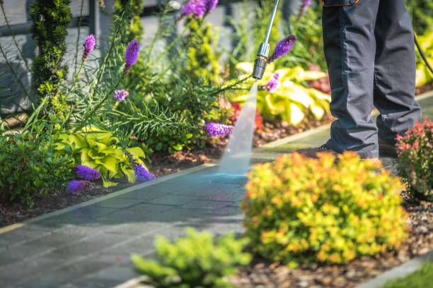 Best Dumpster Area Cleaning  in Detroit Lakes, MN