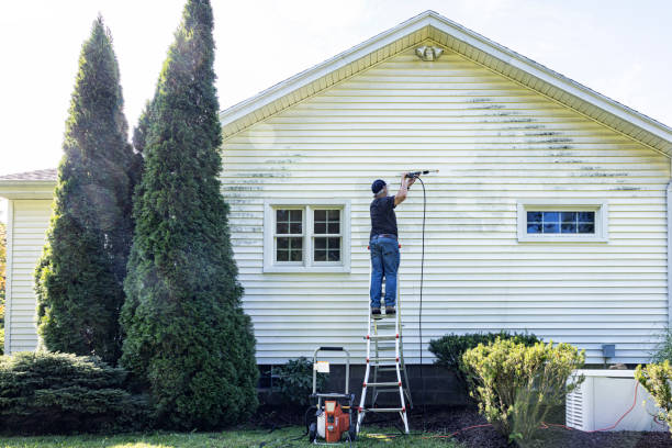 Best Spring Cleaning  in Detroit Lakes, MN